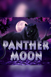 Panther Moon