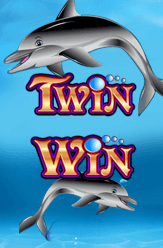 Twin Win