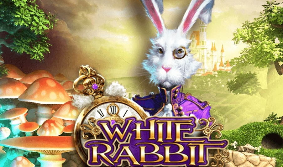 White Rabbit